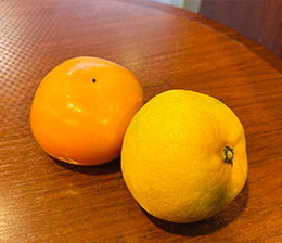 木山のホームページ