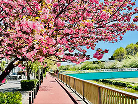 木山のホームページ